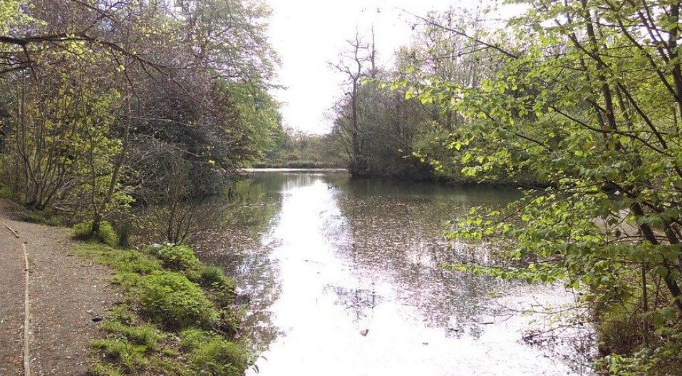 Leasowes Park, United Kingdom